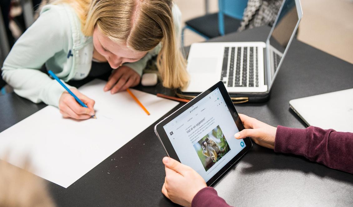 Kommuner i Norrbotten, Östergötland och Västra Götaland hör till de bästa vad gäller skolan, enligt Lärarförbundet. Arkivbild. Foto: Alexander Olivera/TT