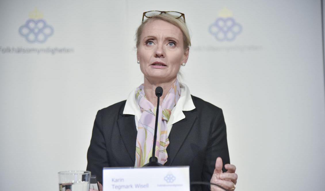 Folkhälsomyndighetens generaldirektör Karin Tegmark Wisell. Arkivbild. Foto: Lars Schröder/TT