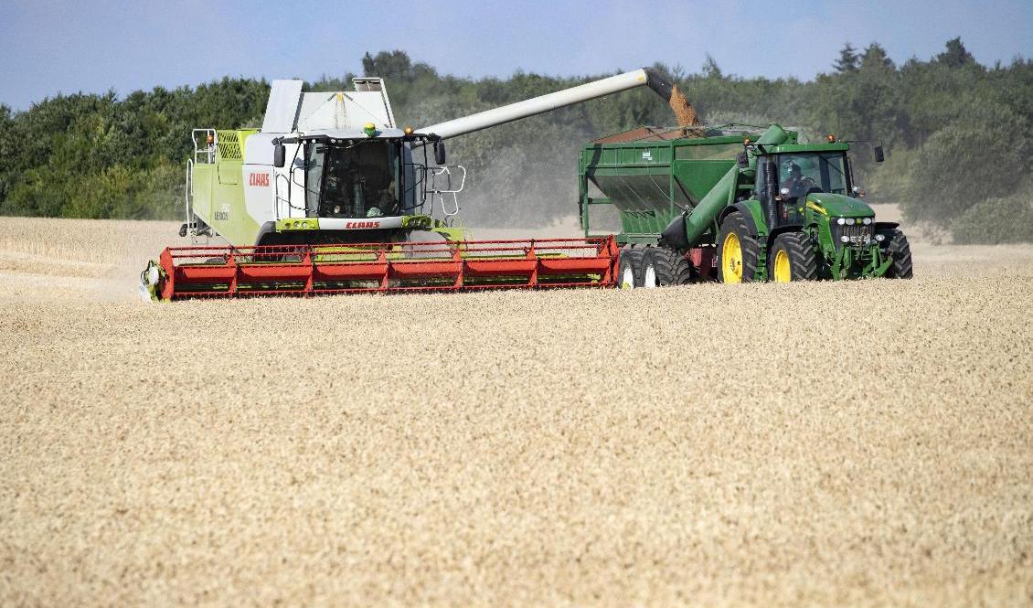 En kris i närområdet skulle kunna få allvarliga följder för tillgång till mat i Sverige. Arkivbild. Foto: Johan Nilsson/TT