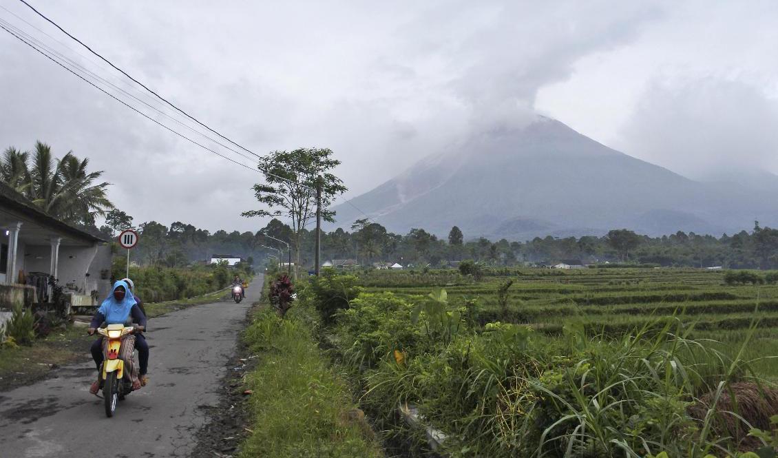 Bild från det förra utbrottet i Semeru i januari i år. Arkivbild. Foto: AP/TT