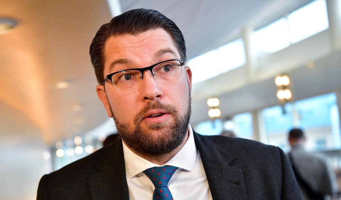 Sverigedemokraternas partiledare Jimmie Åkesson (SD) kan konstatera att hans parti får ökat stöd bland LO:s medlemmar. I andra fackförbund är stödet klart mindre. Arkivbild Foto: Jonas Ekströmer/TT