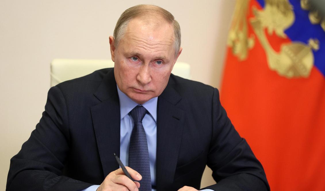 Ryssland president Vladimir Putin under sitt videomöte med presidentämbetets råd. Foto: Mikhail Metzel/AP/TT