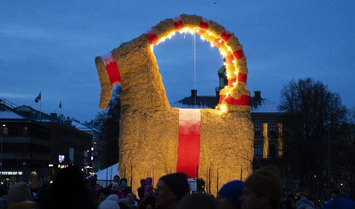 Än så länge står årets upplaga av den stora Gävlebocken säker. En mindre, och mindre känd variant som står en bit bort, brändes dock i natt. Foto: Mats Åstrand/TT