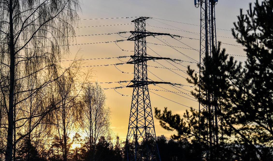 Elen fortsatt på rekordhöga nivåer. Foto: Anders Wiklund/TT