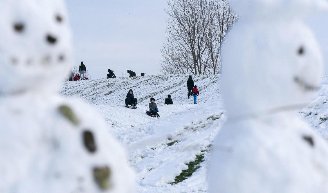 Mestadels vit jul i år. Så här såg det ut i Västra Hamnen i Malmö julen 2018. Foto: Johan Nilsson/TT