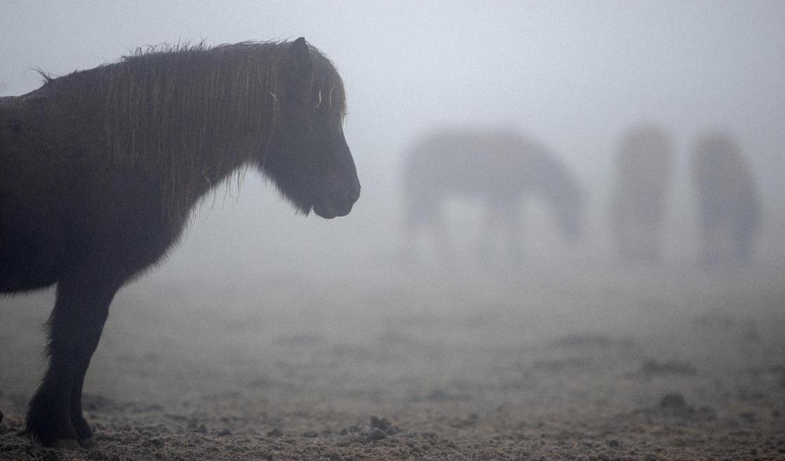 Nyårsafton ser ut att bjuda på regn i söder och snö i norr samt dis där emellan. Foto: Michael Probst