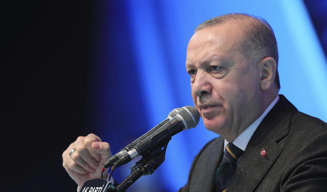 Erdogans okonventionella ekonomiska politik fortsätter in på det nya året. Arkivbild. Foto: Turkiska presidentkansliet/AP/TT