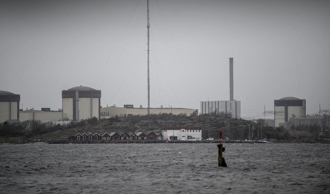 Ringhals 3 snabbstoppades i torsdags kväll. Arkivbild. Foto: Björn Larsson Rosvall/TT