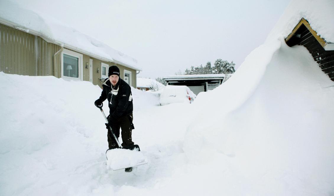 Rikligt med snö på ingång i Norrland. Arkivbild. Foto: Mats Andersson / TT