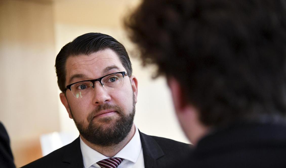 Jimmie Åkessons Sverigedemokraterna blir näst största parti i Svensk väljaropinions sammanställning. Arkivbild. Foto: Pontus Lundahl/TT