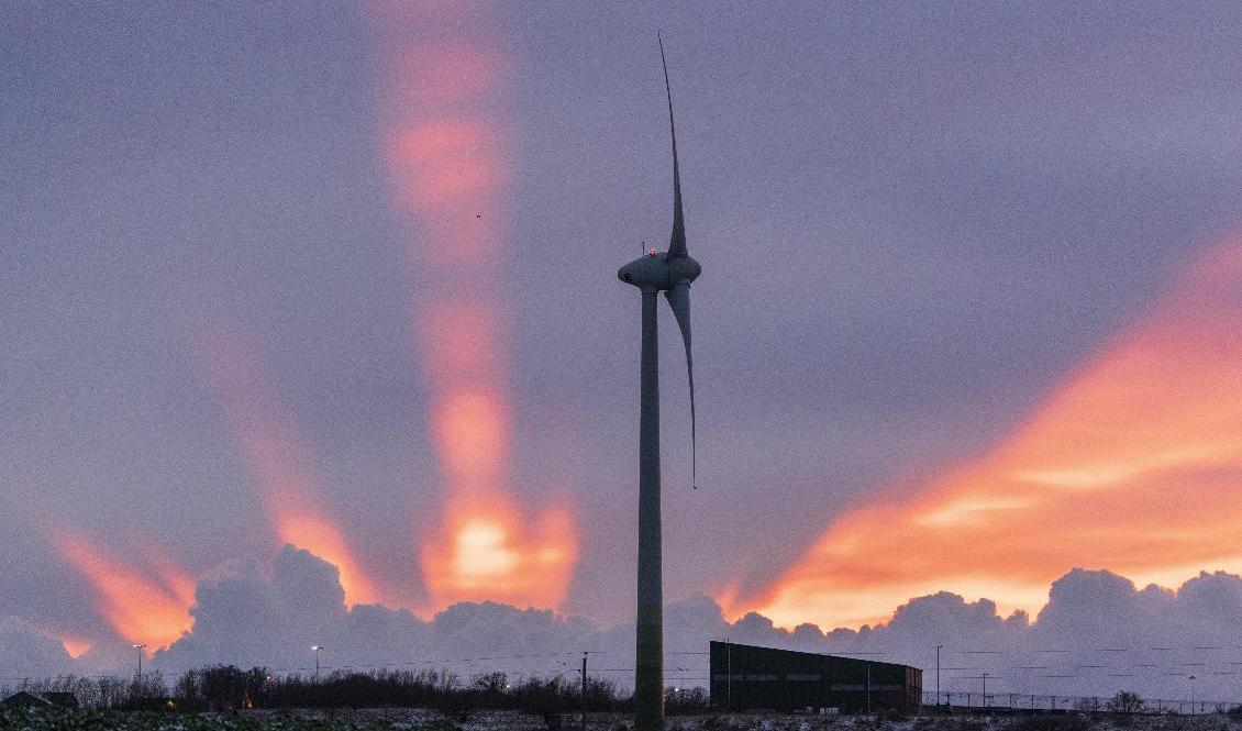 Blåsigt väder sänker elpriset. Arkivbild. Foto: Johan Nilsson/TT