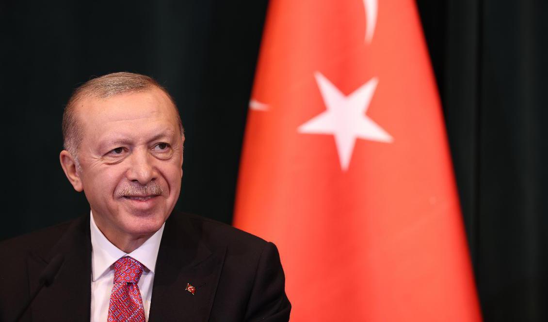 Brottet att förolämpa Turkiets president Recep Tayyip Erdogan (på bilden) ger fängelse i minst ett och högst fyra år. Arkivbild. Foto: Franc Zhurda/AP/TT