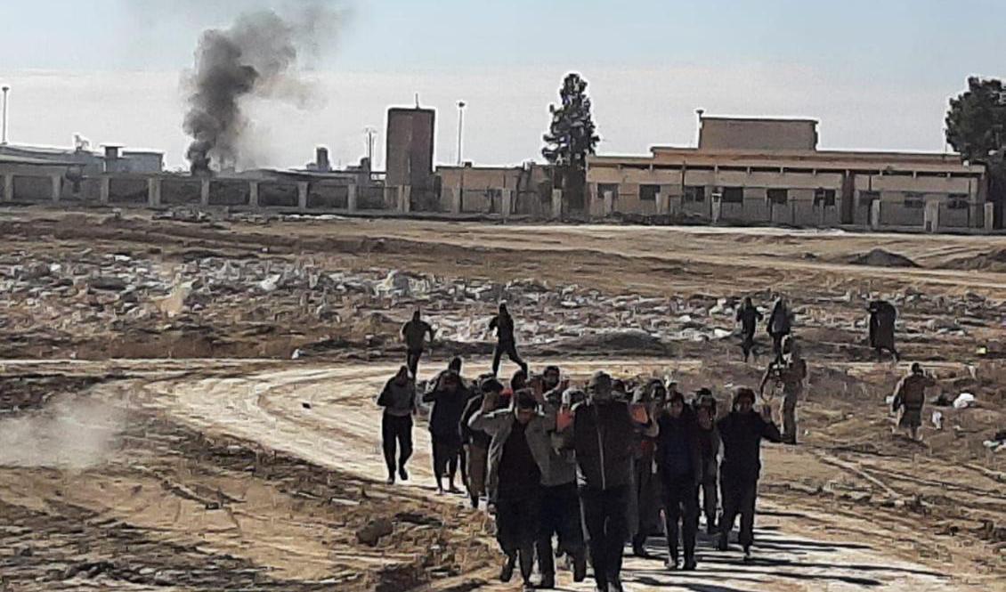 IS-medlemmar som överlämnar sig till kurdiskledda styrkor. Foto: SDF/AP/TT