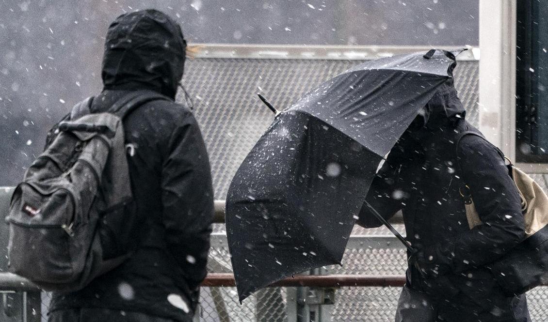 Två lågtryck drar in över Sverige i veckan. Arkivbild. Foto: Johan Nilsson/TT