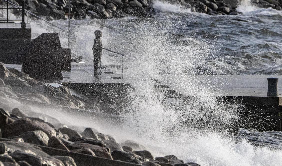 Saltstänkt stormspanare på Scaniaplatsen i Malmö. Räkna med busväder i helgen. Arkivbild. Foto: Johan Nilsson/TT