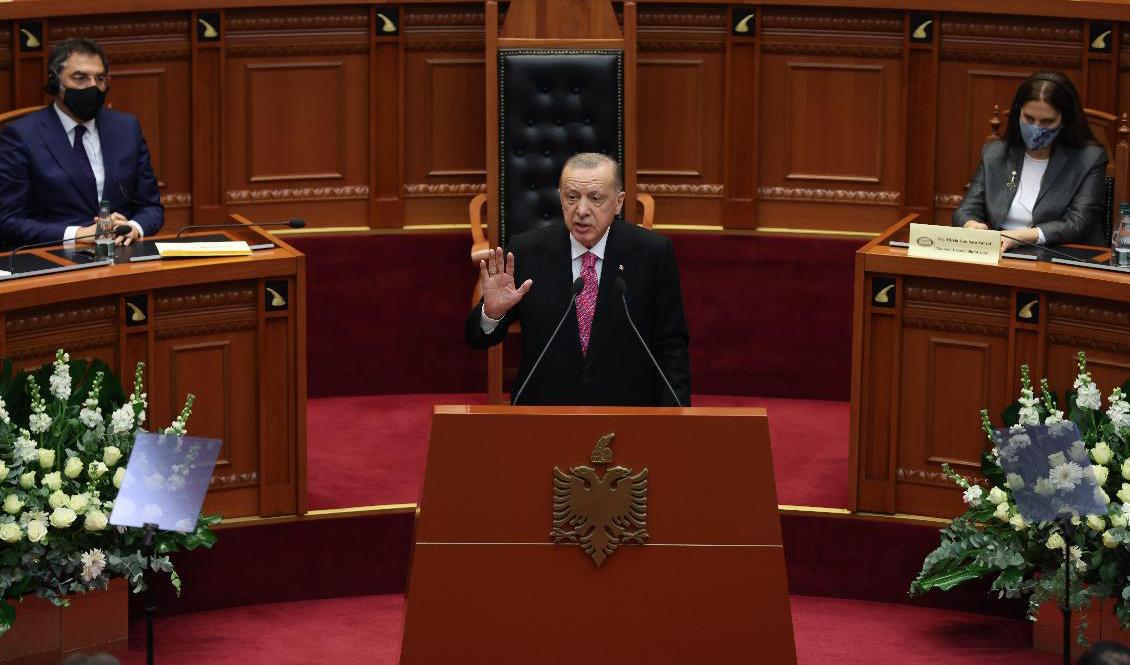 Turkiets president Recep Tayyip Erdogan. Arkivbild. Foto: Franc Zhurda