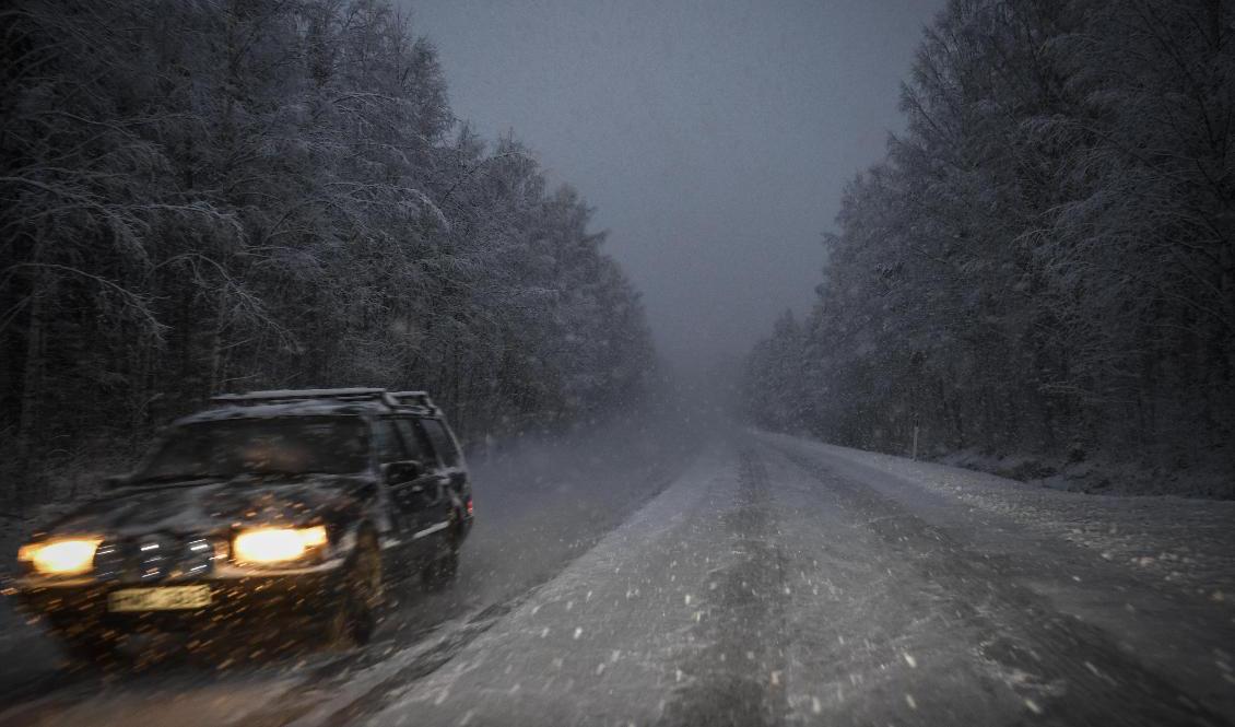 Med vindbyar upp mot 30 meter per sekund väntas stora bekymmer på vägarna. Arkivbild. Foto: Pontus Lundahl/TT
