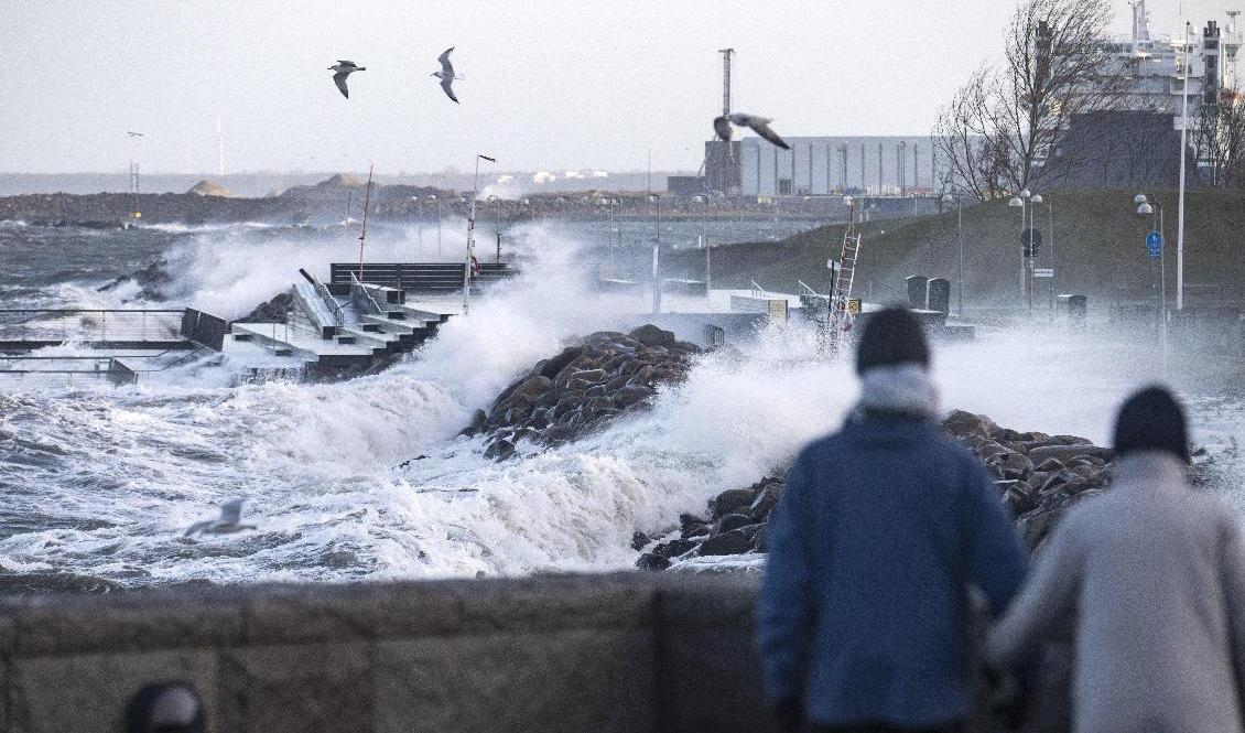 Stormspanare kämpar i vinden vid Scaniabadet i Malmö under söndagen. Foto: Johan Nilsson/TT