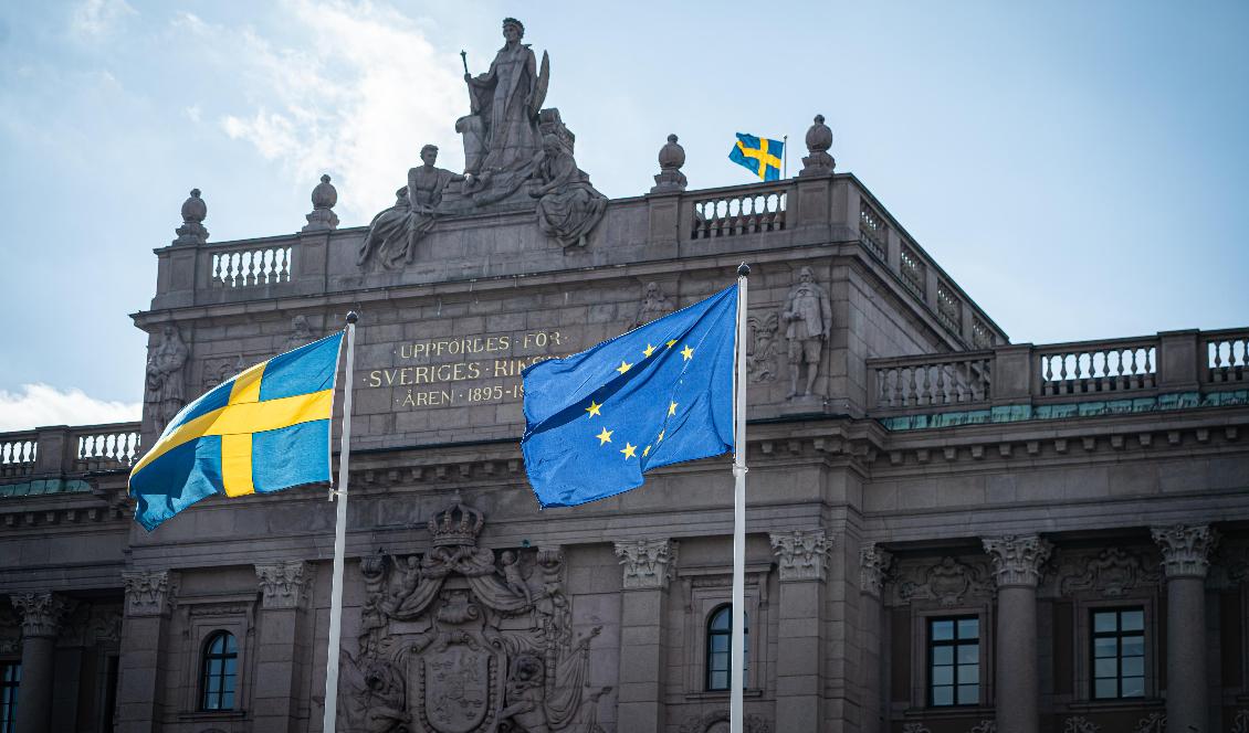Regering och riksdag åtnjuter långtgående befogenheter utan medborgarnas möjlighet till interaktion mer än vart fjärde år, menar debattören. Foto: Sofia Drevemo