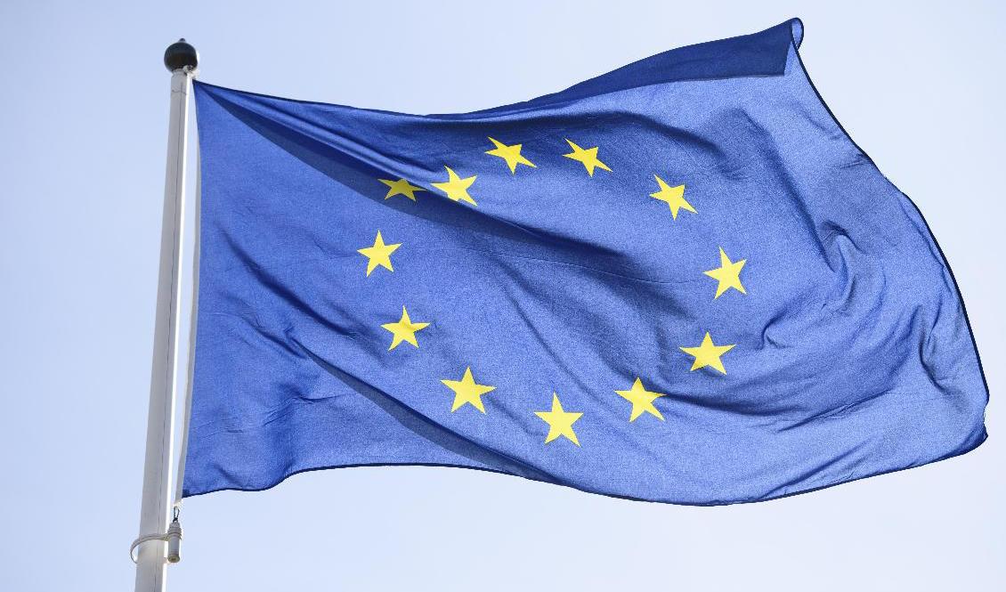 Lägsta arbetslösheten på länge. Arkivbild. Foto: Henrik Montgomery/TT