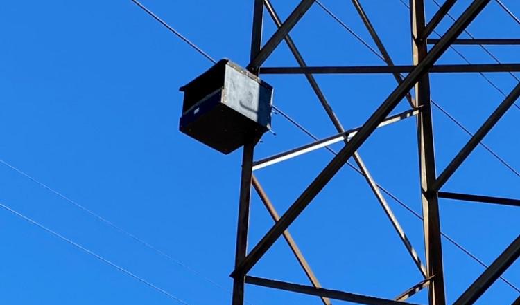 De enorma stolparna passar utmärkt för att imitera tornfalkens naturliga habitat. Foto: E.ON