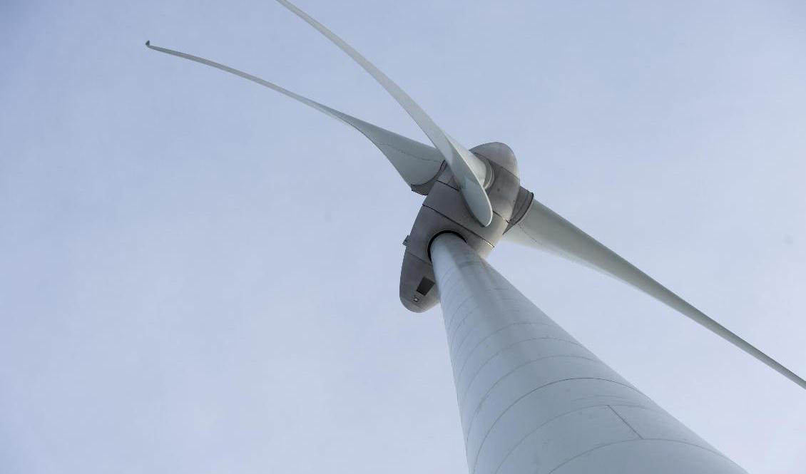 Vindkraftparken "Västvind" väntas producera lika mycket el som Göteborgs årliga elförbrukning. Arkivbild. Foto: Fredrik Sandberg/TT