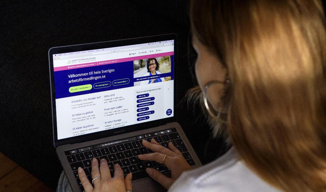En ung vuxen söker jobb på Arbetsförmedlingens hemsida. Arkivbild. Foto: Jessica Gow/TT