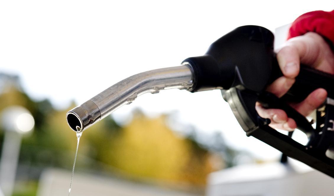 Rekorddyra droppar. Arkivbild. Foto: Pontus Lundahl/TT