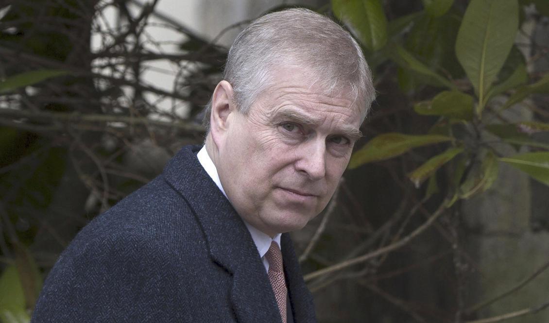 Storbritanniens prins Andrew. Arkivfoto. Foto: Neil Hall/AP/TT