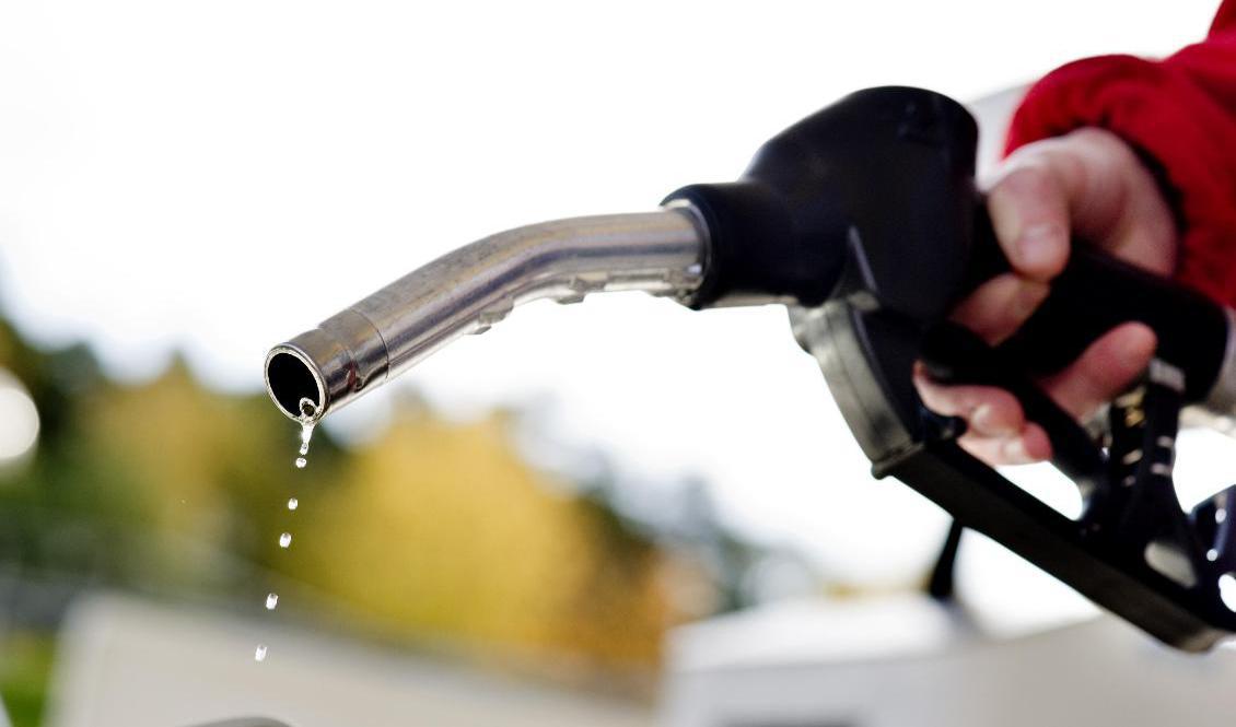 Rekorddyra droppar – igen. Arkivbild. Foto: PONTUS LUNDAHL/TT