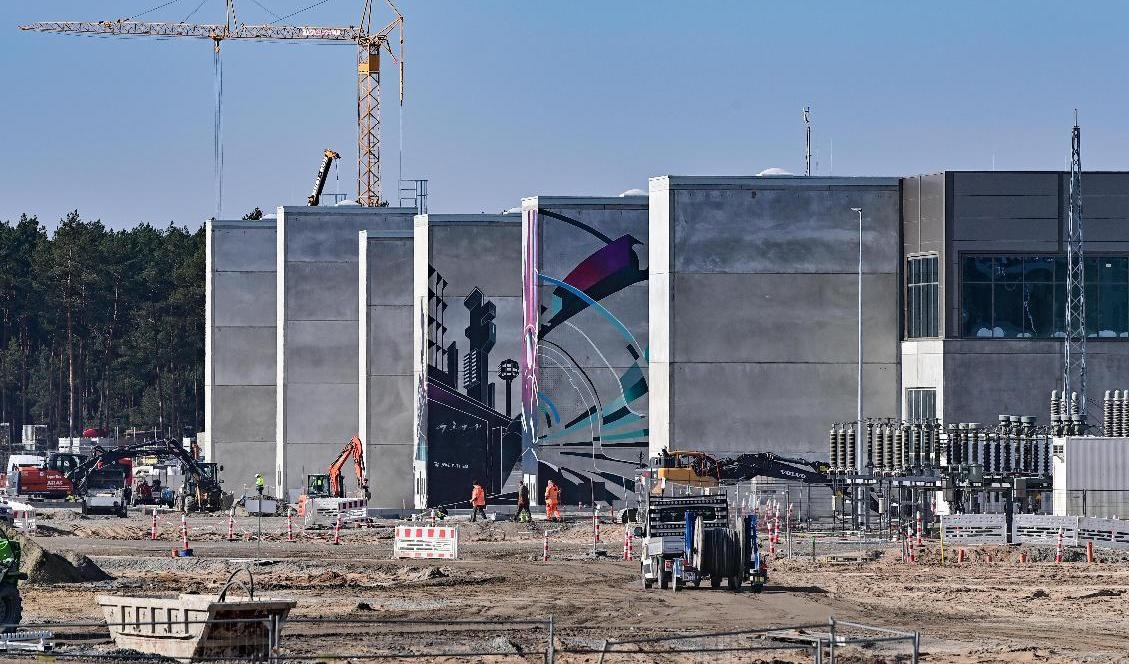 Planerad byggplats för Teslafabriken i Grünheide i Tyskland. Arkivbild. Foto: Patrick Pleul/dpa via AP/TT