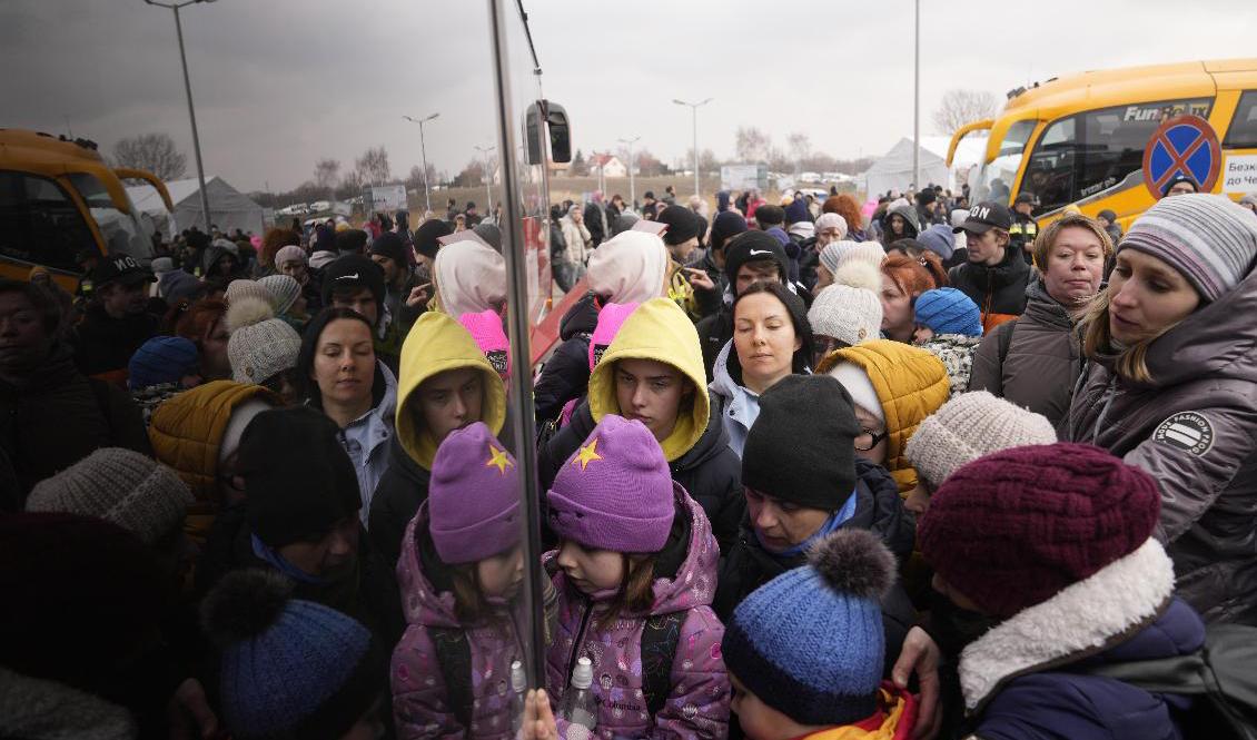 Människor som flyr Ukraina köar för att gå på en buss i polska gränsstaden Medyka. Foto: Markus Schreiber/AP/TT
