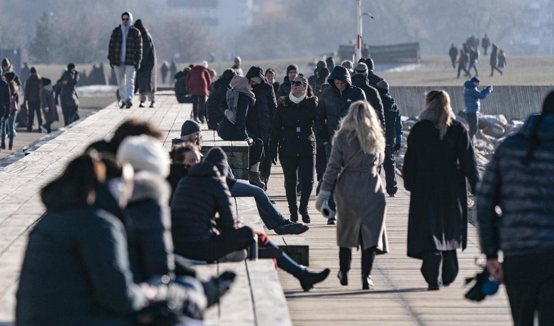 Det är upplagt för soliga promenader på måndag och tisdag i södra Sverige. Arkivbild. Foto: Johan Nilsson/TT