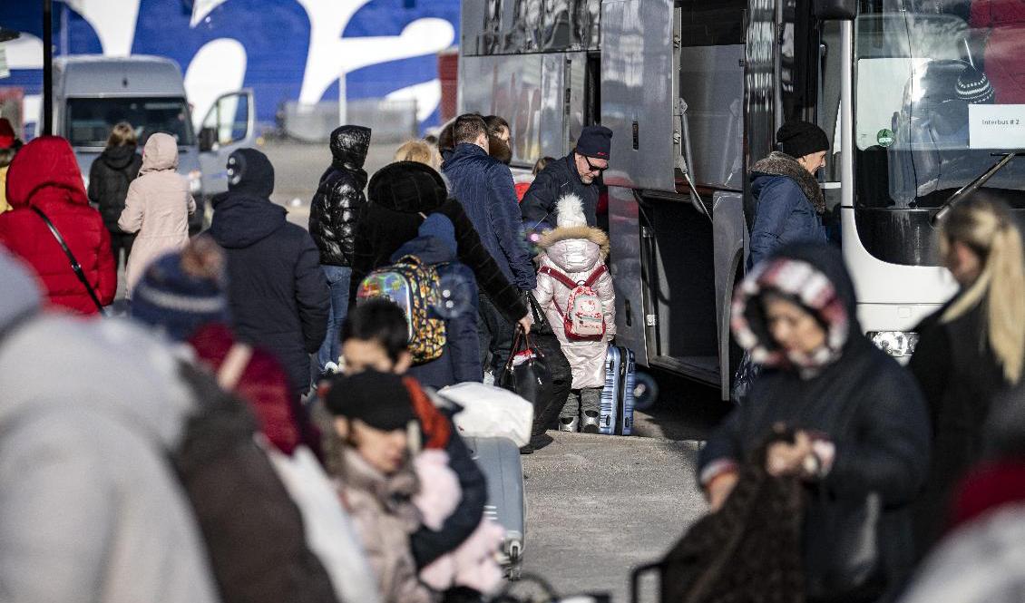 Tusentals flyktingar från Ukraina väntas till Sverige. Arkivbild. Foto: Johan Nilsson/TT
