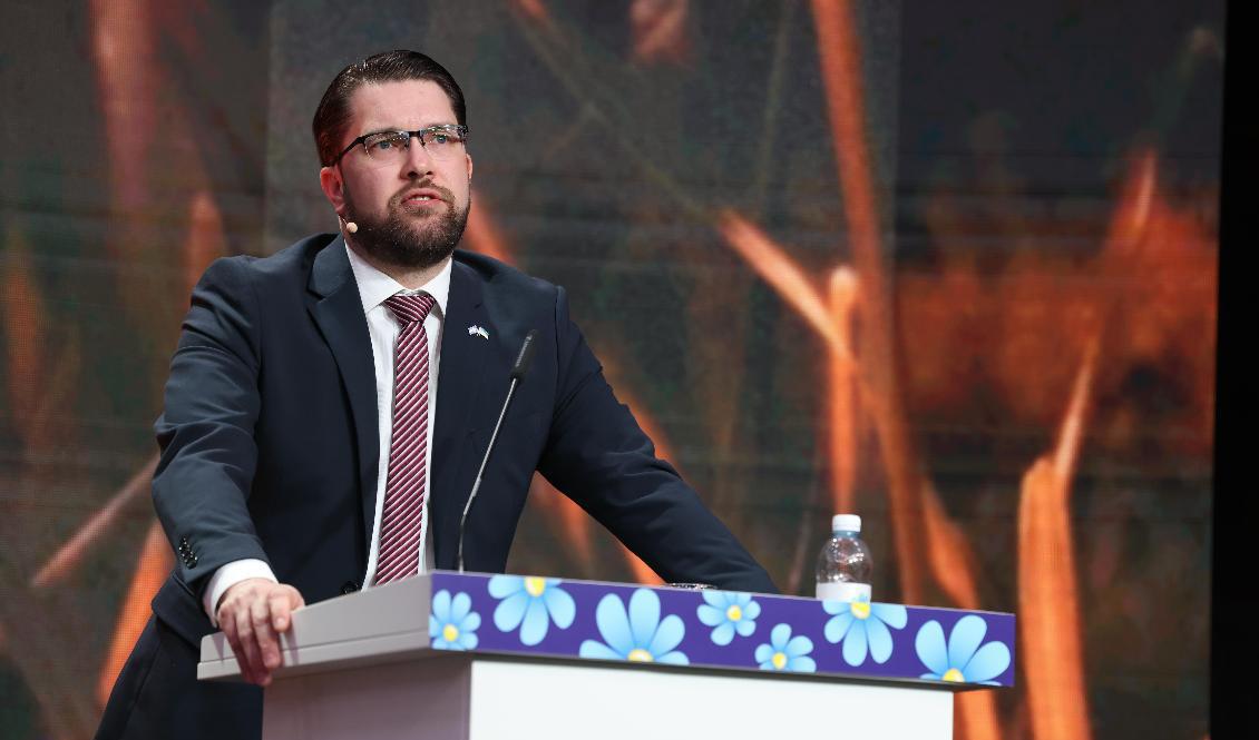 SD-ledaren Jimmie Åkesson utesluter inte ett snabbt ja från SD till Natomedlemskap om läget kräver det. Foto: Fredrik Persson/TT