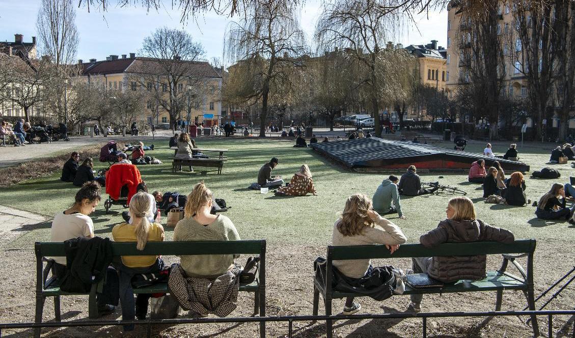 Våren väntas avancera uppåt landet i veckan, men på många håll är nätterna fortfarande kalla. Bilden är tagen i Stockholm under fjolårets vår. Arkivbild. Foto: Malin Hoelstad/SvD/TT