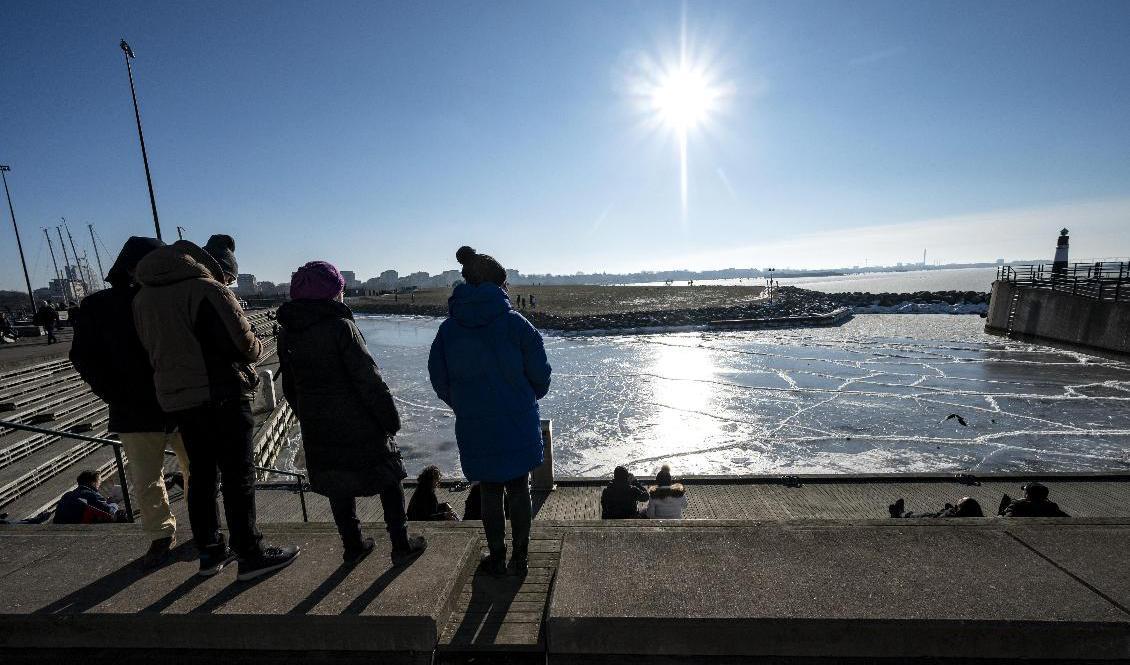 Passa på och njut, solen strålar över Sverige större delen av veckan. Arkivbild. Foto: Johan Nilsson/TT