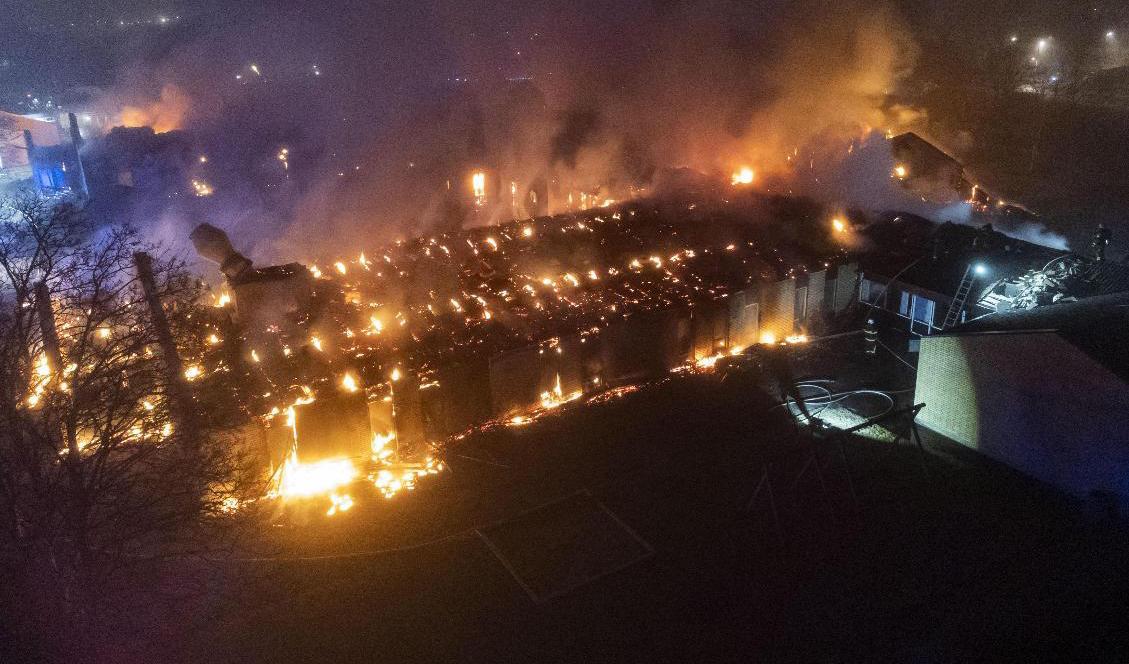 Det är ett stort område som drabbats. Foto: Johan Nilsson/TT