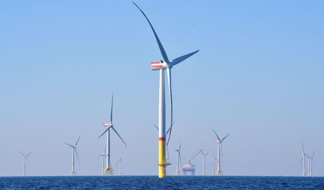 I södra delen av Skagerrak, 3 mil ut i havsbandet, planeras vindkraftparken Poseidon med 94 verk på 260–340 meter. Den förväntas ge cirka 5,5 terrawattimmar (TWh) el per år. Foto: Tobias Schwartz/AFP via Getty Images