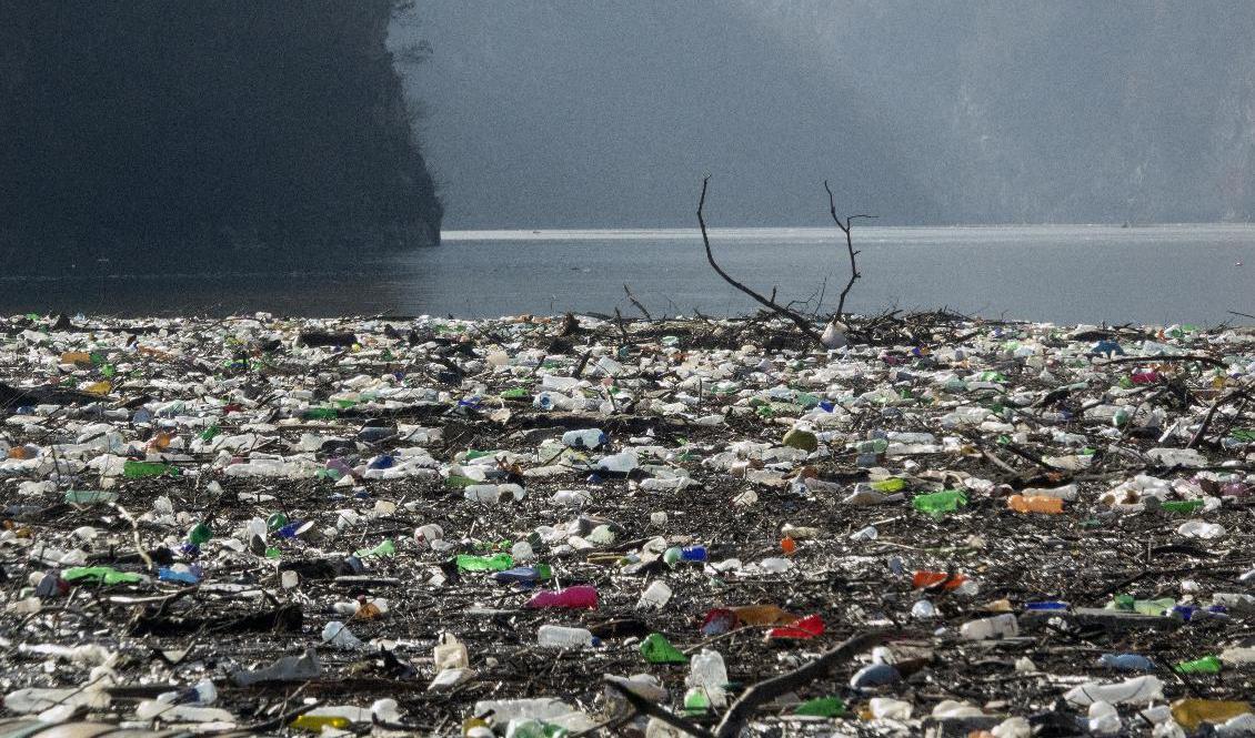 Mängder av plastskräp förorenar jorden, här är ett exempel i Bosnien. Mikroplaster har nu hittats i mänskligt blod. Arkivbild. Foto: Eldar Emric/AP/TT