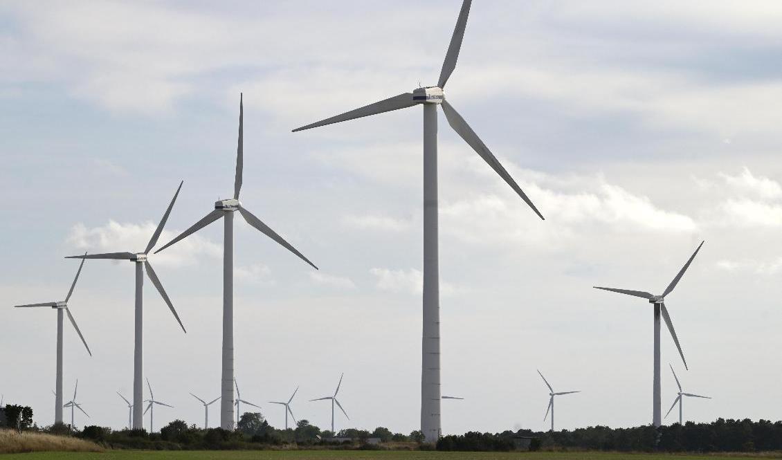 Bara var fjärde vindkraftprojekt under första halvan av 2021 fick klartecken att påbörjas. Arkivbild. Foto: Fredrik Sandberg/TT