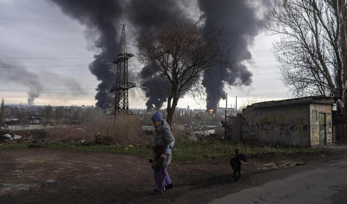 Rökpelare syns över hamnstaden Odessa efter en rysk attack mot den strategiskt viktiga staden. Foto: Petros Giannakouris/AP/TT