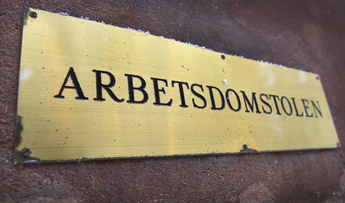 En polis blev av med jobbet efter att ha dömts för misshandel av en gripen man i arresten i Haparanda. Nu stämmer facket Polismyndigheten. Arkivbild. Foto: Claudio Bresciani/TT