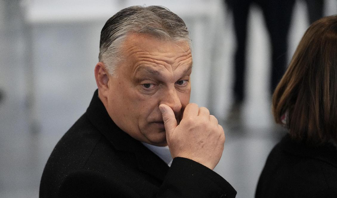 Ungerns premiärminister Viktor Orbán. Bild från söndags. Foto: Petr David Josek/AP/TT