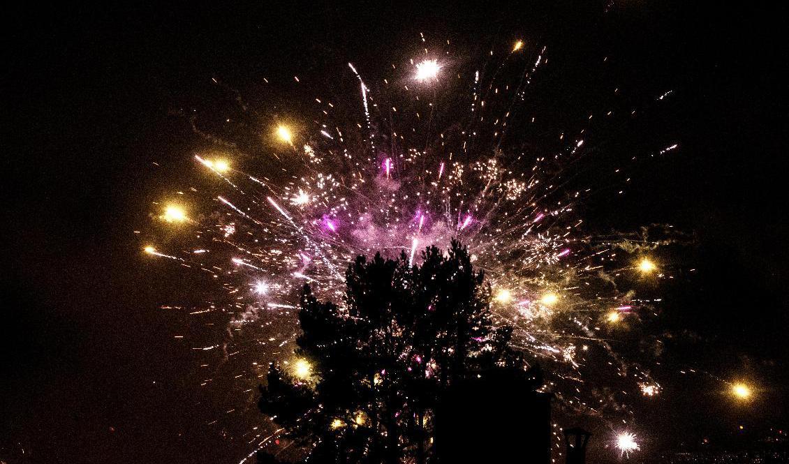 Två män i övre tonåren döms efter att ha skjutit raketer mot polisen i Karlshamn. Foto: Terje Pedersen/NTB/TT