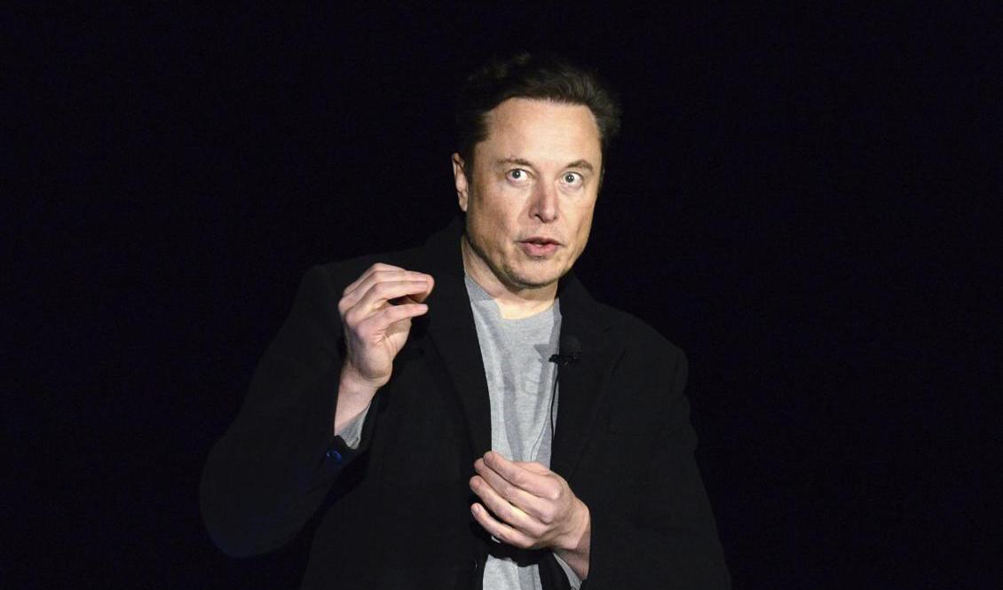 Turerna kring Musks Twitterköp fortsätter. Arkivbild. Foto: Miguel Roberts/AP/TT