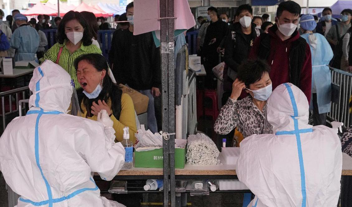 Covidtestning i provinsen Guangdong i slutet av mars. Foto: Ng Han Guan/AP/TT