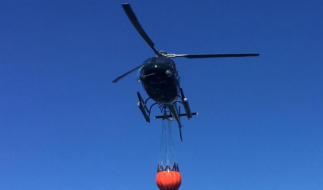 Helikoptrar kallades in från Västerås för att hjälpa till att släcka skogsbranden i Ludvika kommun. Arkivbild. Foto: Karl Melander/TT