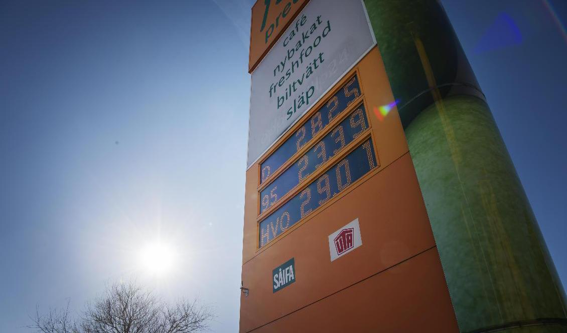 Drivmedelspriserna går både upp och ned. Arkivbild. Foto: Stina Stjernkvist/SvD/TT