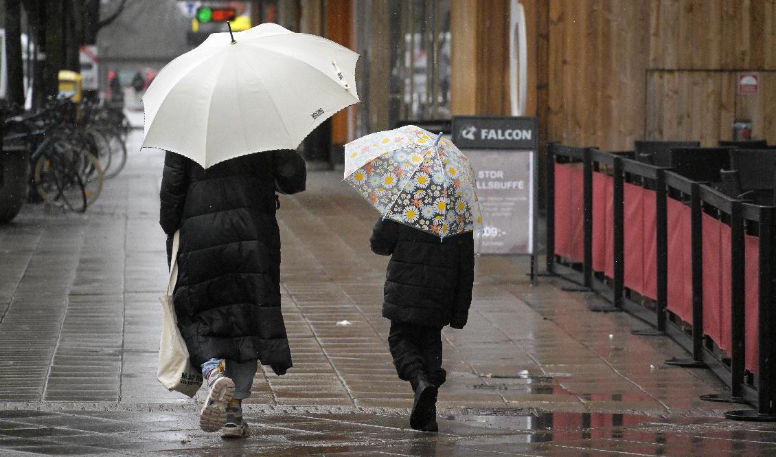Det ser ut att bli påtagligt blött i norra Stockholm, Uppsala och södra Dalarna på fredagen. Arkivbild. Foto: Janerik Henriksson/TT